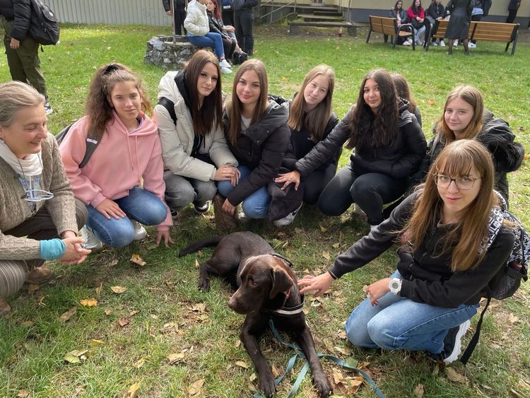 Bejgli, a tanuló terápiás kutya